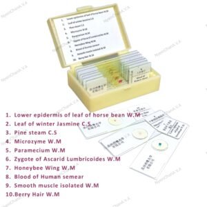 Prepared cell slide (10 slides/box)