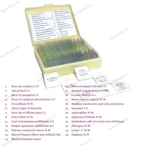 Prepared cell slide (20 slides/box)