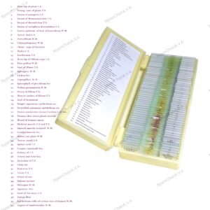 Prepared cell slide (50 slides/box) A