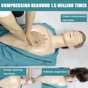 Adult CPR Training Teaching Model