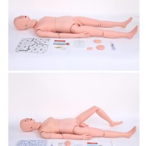 Male Female Nursing Training Teaching Model