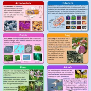 Six Kingdoms of Life