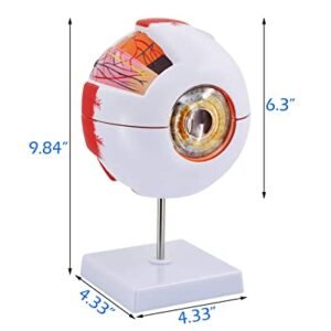 Eye Ball Model