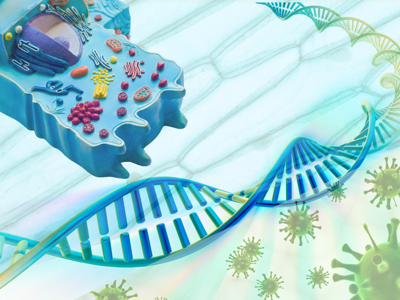 Six Kingdoms of Life